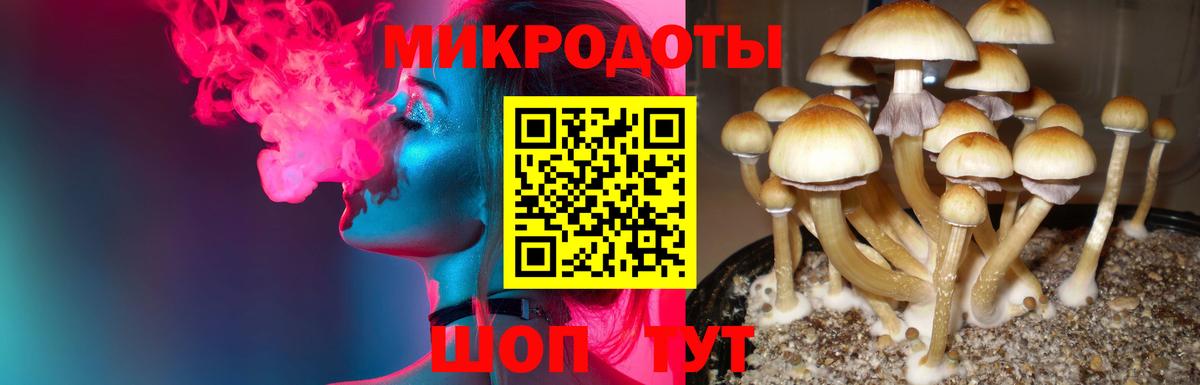 Улан-Удэ  Псилоцибиновые грибы прущие грибы  Вход с VPN 